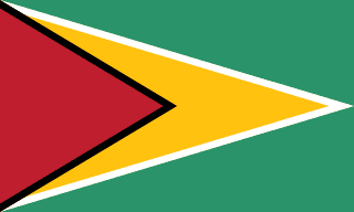 Flaga Gujany